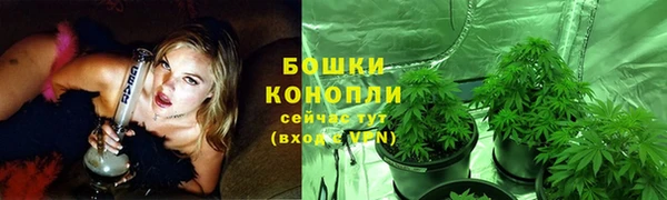 гидра Армянск