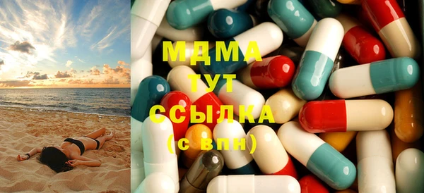 дживик Бородино