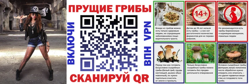 Псилоцибиновые грибы мицелий  наркотики  Заволжск 